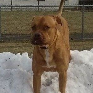 Meet your Posher, Nissa